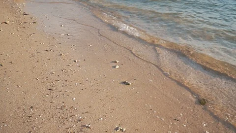 Transparent sea waves running to sandy shore. Stock Footage 109123818