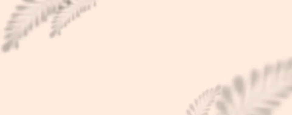 Transparent shadow overlay effect. The leaf leaves a slight shadow on a blank Stock Illustration