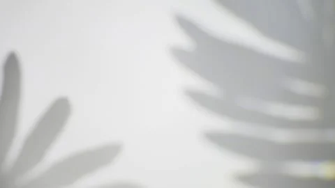 Transparent shadows overlay effect Stock Footage 245156133