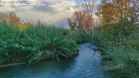 Transparent small river Stock-Footage 164652014