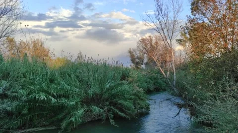 Transparent small river Stock-Footage 164652021