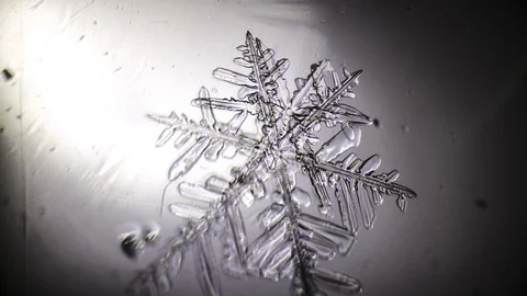 Transparent snowflake grows in a spot of light under a microscope Stock Footage 104489708