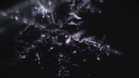 Transparent snowflake melts against a dark background Stock-Footage 87303877