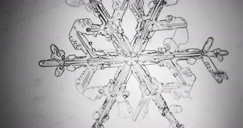 Transparent snowflake melts under the microscope Stock Footage 86792253