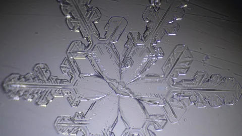 Transparent snowflake moves under the microscope Stock Footage 86562226