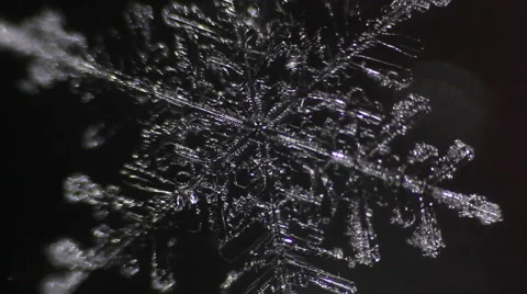 Transparent snowflake under the microscope Stock Footage 60390196