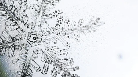 Transparent snowflake under a microscope melts Video stock 87300134