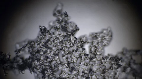 Transparent snowflake under the microscope melts Stock Footage 105663704