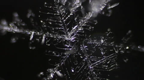 Transparent snowflakes on dark background Stock Footage 60252494