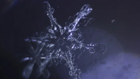 Transparent snowflakes melt Video stock 88450997