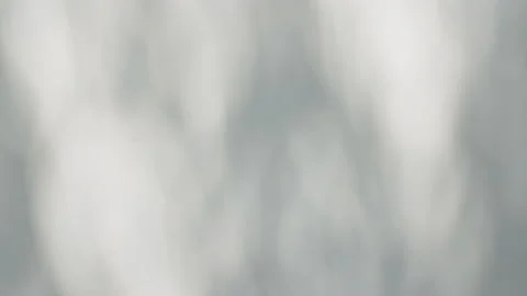 Transparent soft light and shadows from branches, plant, foliage and leaves. Sun Stock Footage 162813642