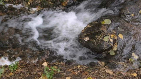 A transparent stream of water flows through the rocks. Cascades of water fall Stock Footage 117636870