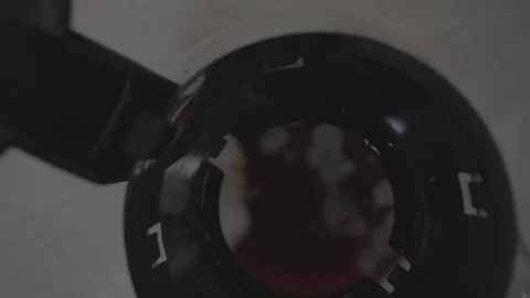 Transparent teapot with mold floating on bottom of water Stock Footage 246688576