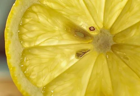 Transparent texture of lemon slice with seeds close up background Stock Photos