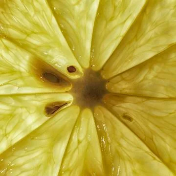 Transparent texture of lemon slice with seeds close up background Stock Photos