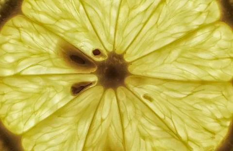 Transparent texture of lemon slice with seeds close up background Stock-Fotos