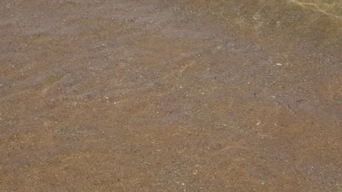 Transparent texture of the sea water surface, waves, ripples, seaweed and water Stock Footage 340627765