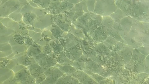 Transparent turquoise water background. Stock Footage 303308219