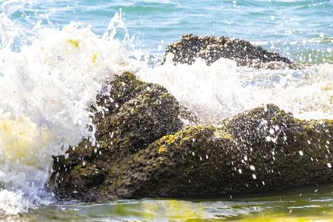 Transparent turquoise wave over shells stones beach natural background Thai.. Stock Photos