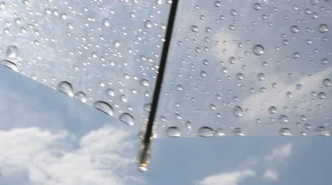 Transparent umbrella Stock Footage 24739384