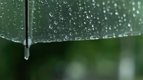 A transparent umbrella with raindrops sliding down it during a rainy day, promot Stock Footage 277643101