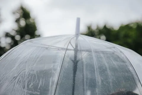 Transparent umbrella with raindrops on surface, showcasing a blurred green .. Stock Photos
