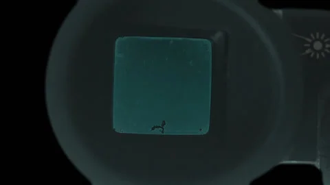 Transparent VHS Viewfinder Stock Footage 91322705