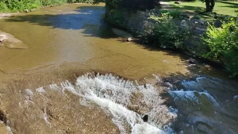 Transparent water flow in a creek Stock Footage 336187458
