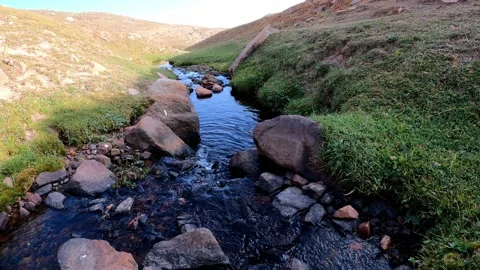 Transparent water flowing through the grass on the side of the mountain. Stock Footage 170747988