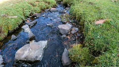 Transparent water flowing through the grass on the side of the mountain. Stock Footage 170748116