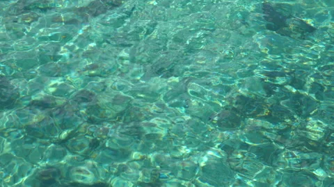 Transparent water in lake in Arrayanes National Park, Argentina Stock Footage 297319894