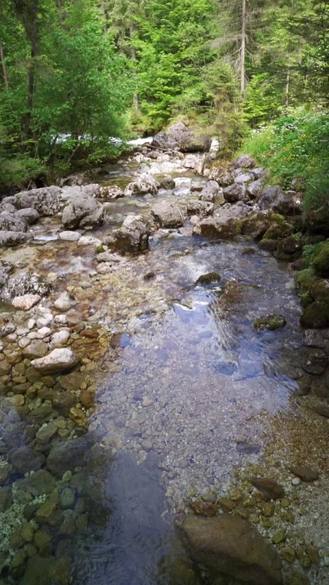 Transparent water in the mountains vertical video Stock Footage 242655833