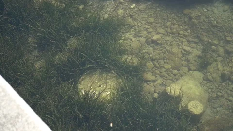 Transparent water nature Stock Footage 128348236