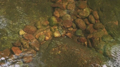 Transparent water over riverbed rocks. Loop. Video stock 332964238
