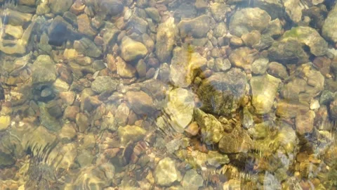 Transparent water in the river. Top down view of water with stones Video stock 156498484