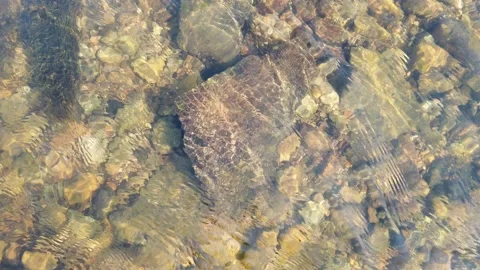 Transparent water in the river. Top down view of water with stones Stock Footage 156507798