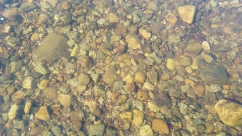 Transparent water in the river. Top down view of water with stones Stock Footage 156625189
