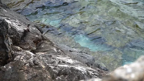 Transparent water rocks Stock Footage 128348055