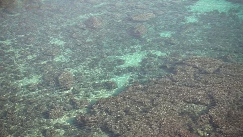 The transparent water of the sea Video stock 101107878