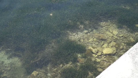 Transparent water sea Stock Footage 128348304