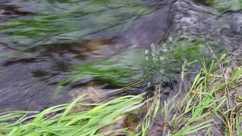 Transparent water from the stream that flows between the stones. Stock Footage 122081847