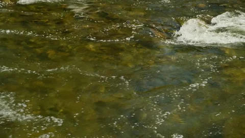 Transparent water surface of mountain river on the shallow. Stock Footage 314672278