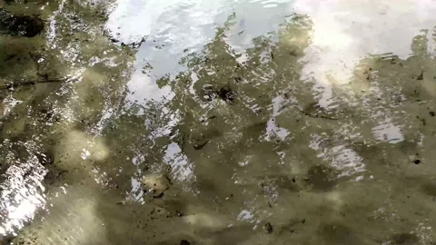Transparent water through which you can see the sandy bottom Stock Footage 94472718