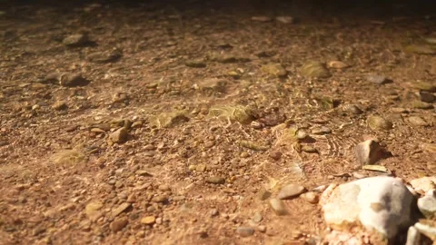 Transparent water of the turia river flows Stock Footage 262962590