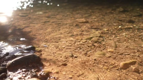 Transparent water of the turia river flows Stock Footage 262962624