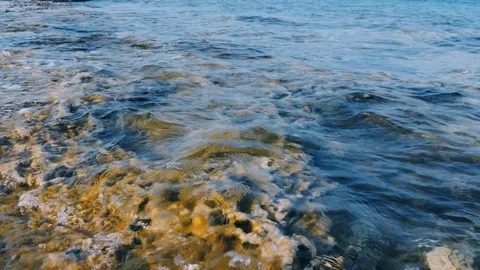 Transparent Waves and Stones Vídeo Stock 81241436