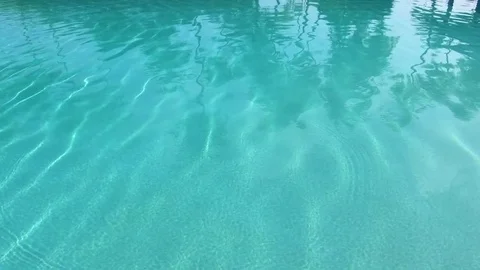 Transparent waves in pool with a lot of reflections palms tree. Stock Footage 82869735