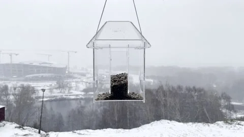 Transparent window feeder in a cloudy day in winter Vídeo Stock 192805478