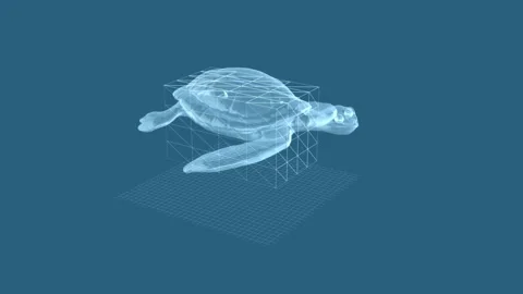 Transparent Wireframe Sea Turtle in a Virtual Oceanic 3D Environment 库存影片 343124354
