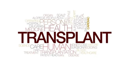 Transplant animated word cloud, text design animation. Kinetic typography. Stock Footage 72672373